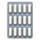 Bioprotect Vet Expert – Suport pentru Sistemul Digestiv și Imunitate – 60 Capsule